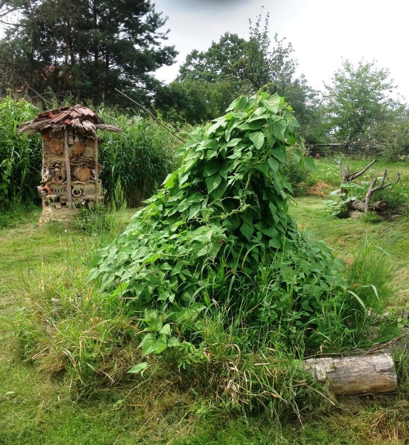 Biohof Am Turawa-See Szczedrzyk Dış mekan fotoğraf