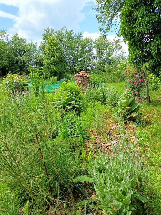 Biohof Am Turawa-See Szczedrzyk Dış mekan fotoğraf