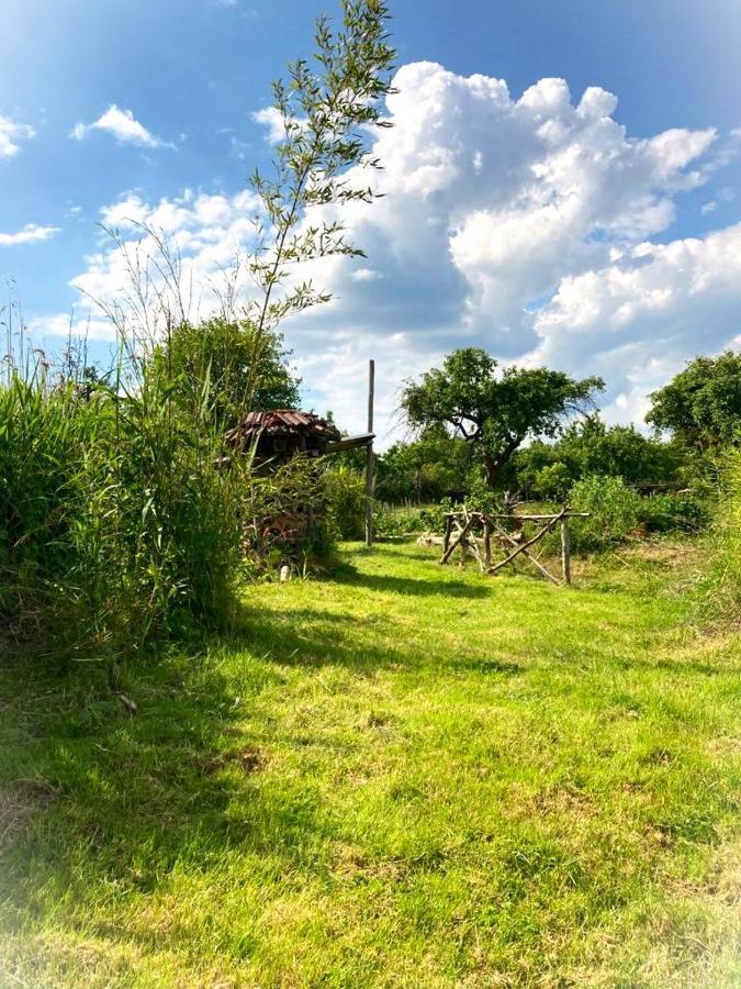 Biohof Am Turawa-See Szczedrzyk Dış mekan fotoğraf
